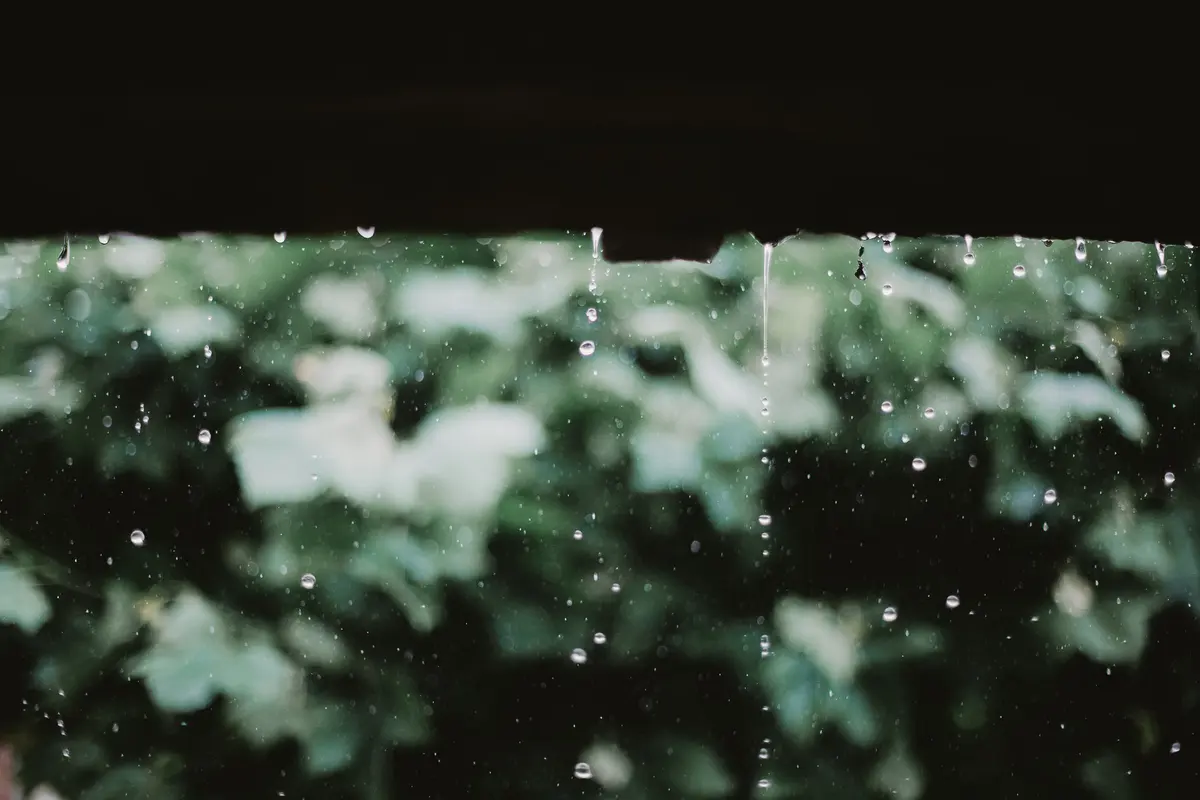 Raindrops falling from the edge of a roof in front of blurred green leaves